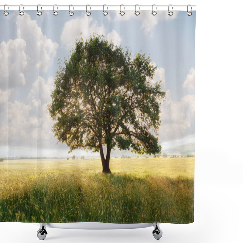 Personality  Lonely Tree Against A Blue Sky At Sunset. Summer Landscape With A Lone Tree At Sunset Barley Field In The Village Shower Curtains