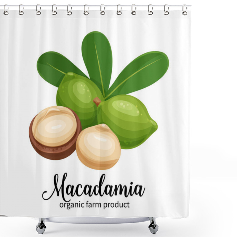 Personality  Macadamia Nuts In Cartoon Style Shower Curtains