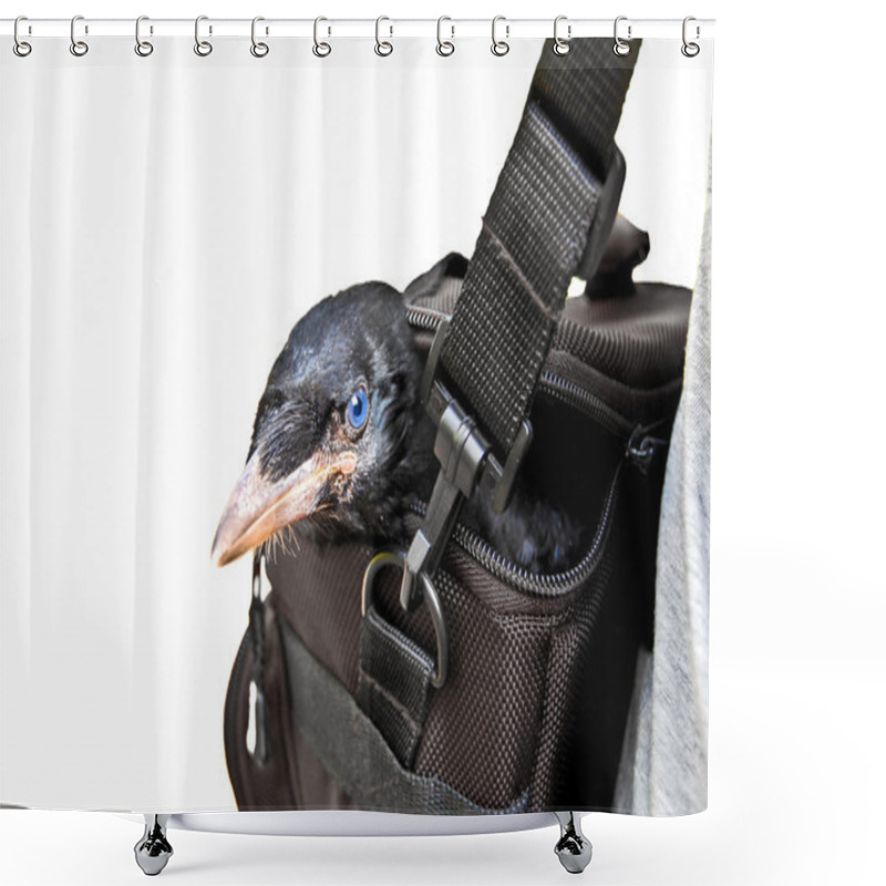 Personality  Crow Shower Curtains