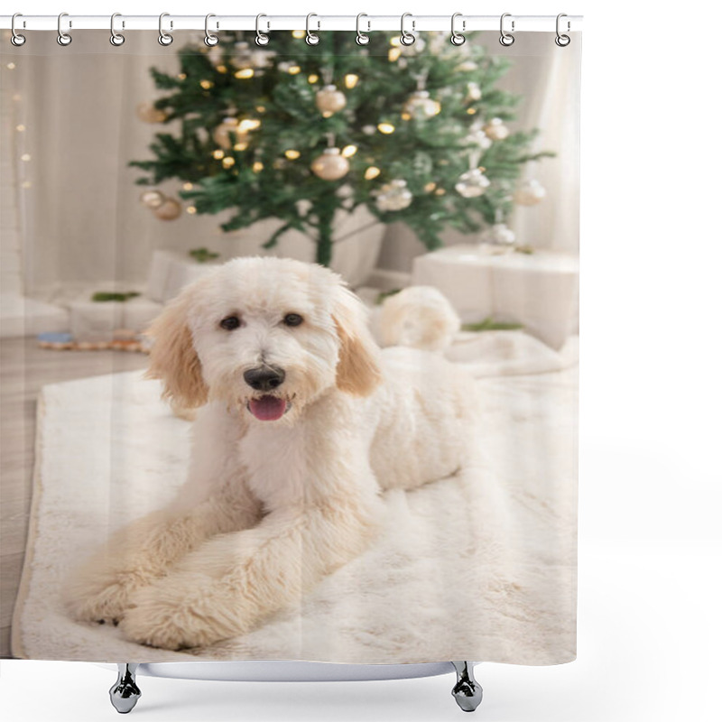 Personality  Golden Doodle Smiling And Laying Down In Front Of Christmas Tree Shower Curtains