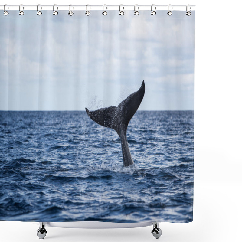 Personality  Humpback Whale Fluke Shower Curtains