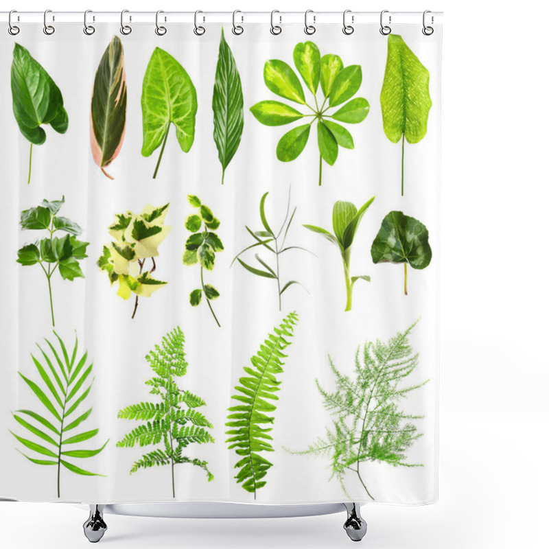 Personality  Set Of Different Houseplants Leaves Shower Curtains