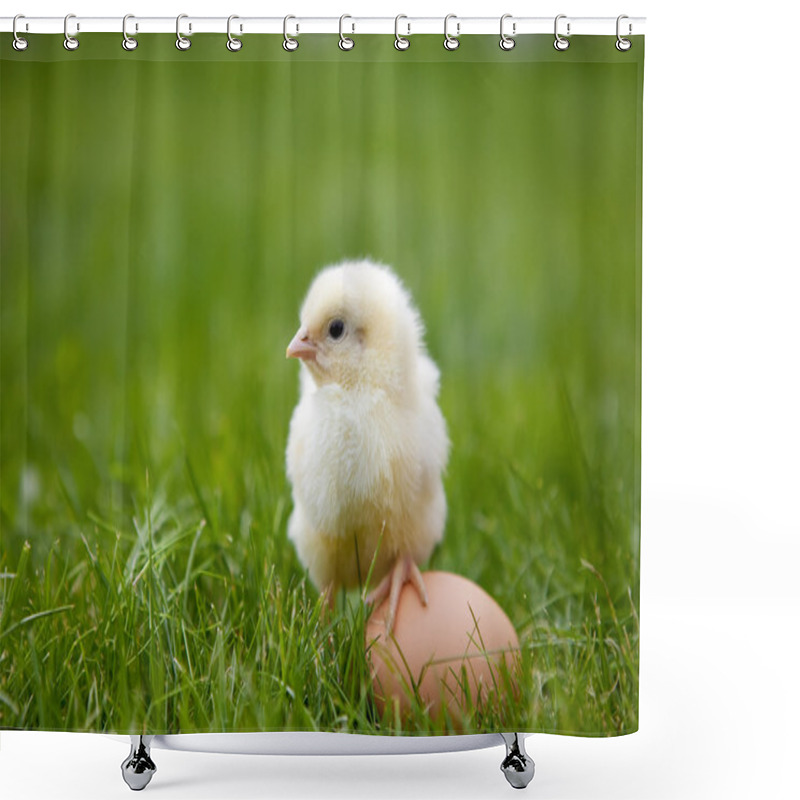 Personality  Little Chicken Shower Curtains