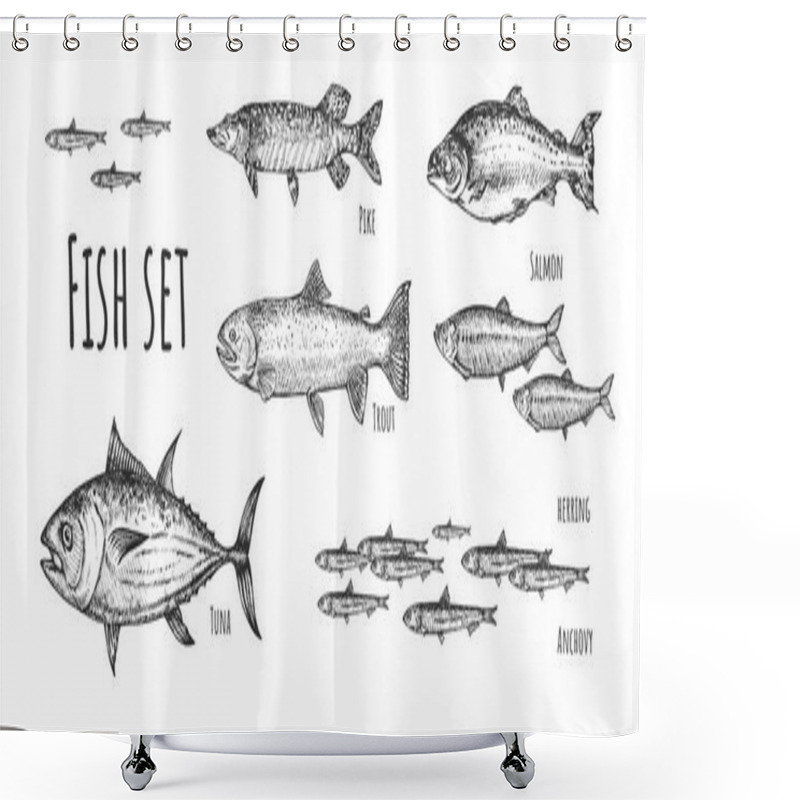 Personality  Big And Small Sea Fish Of Different Kinds  Shower Curtains