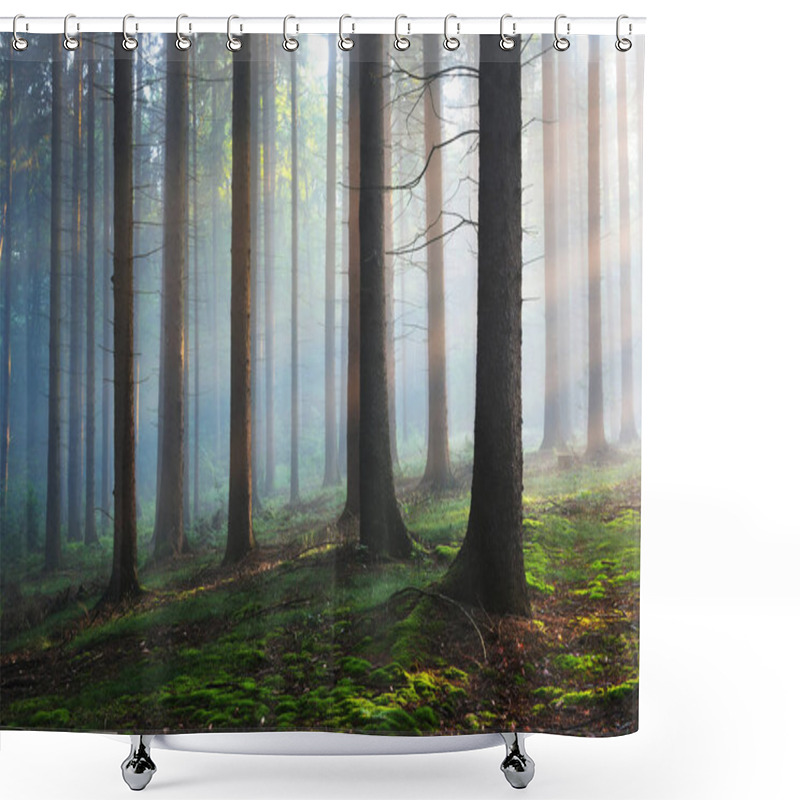 Personality  Tree Silhouettes In A Dark Misty Forest Shower Curtains