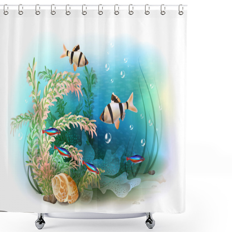 Personality  Illustration Of The Tropical Underwater World. Aquarium Fish. Shower Curtains