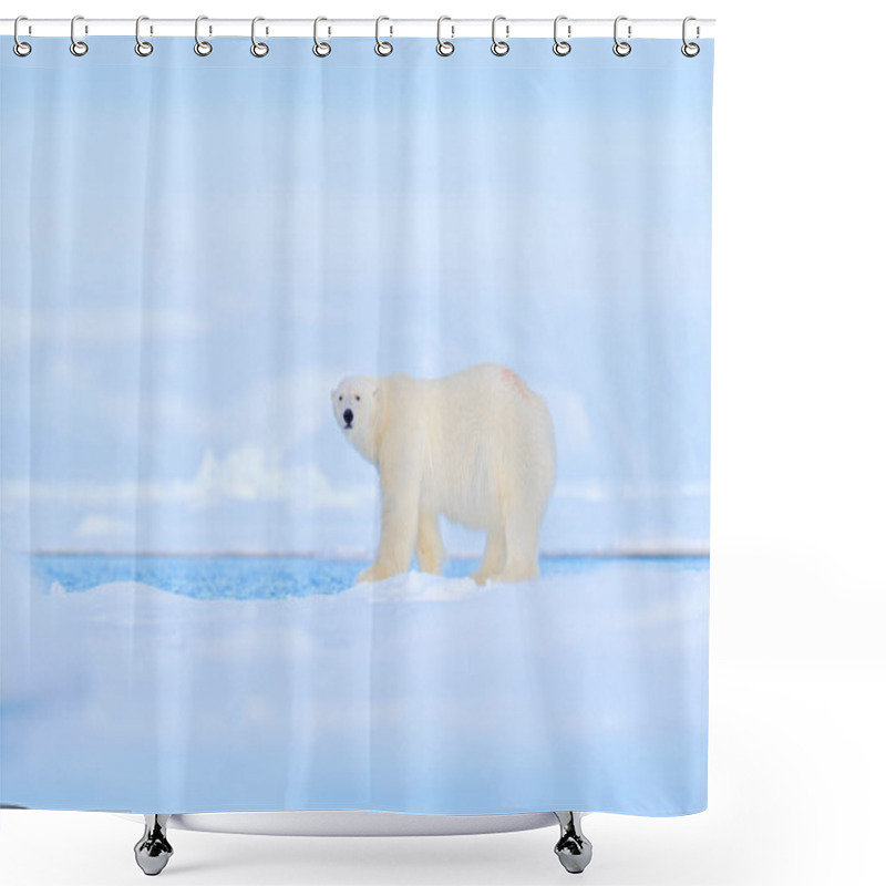 Personality  Polar Bear Dancing Fight On The Ice. Two Bears Love On Drifting Ice With Snow, White Animals In Nature Habitat, Svalbard, Norway. Animals Playing In Snow, Arctic Wildlife. Funny Image In Nature. Shower Curtains