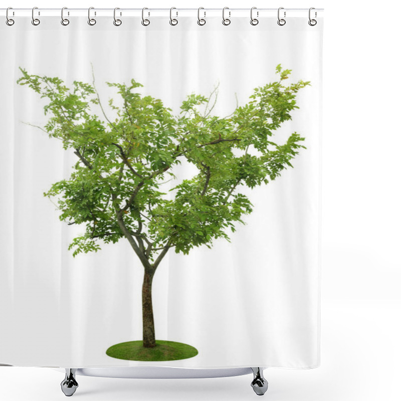 Personality  Tree Shower Curtains