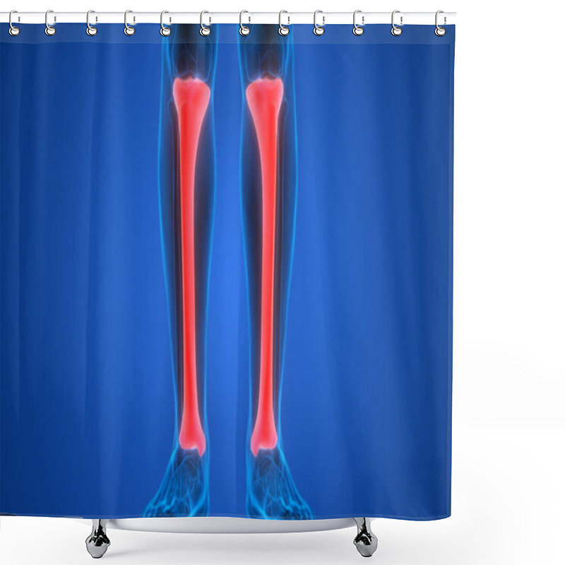 Personality  Human Skeleton System Bone Joints Anatomy. 3D Shower Curtains