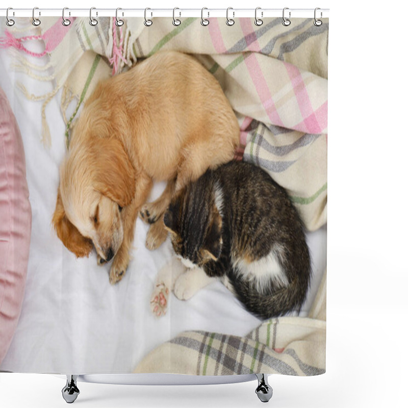 Personality  Adorable Little Kitten And Puppy Sleeping On Bed, Top View Shower Curtains