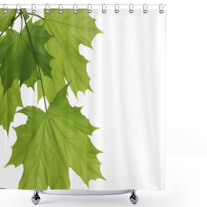 Personality  Maple Leaf Shower Curtains