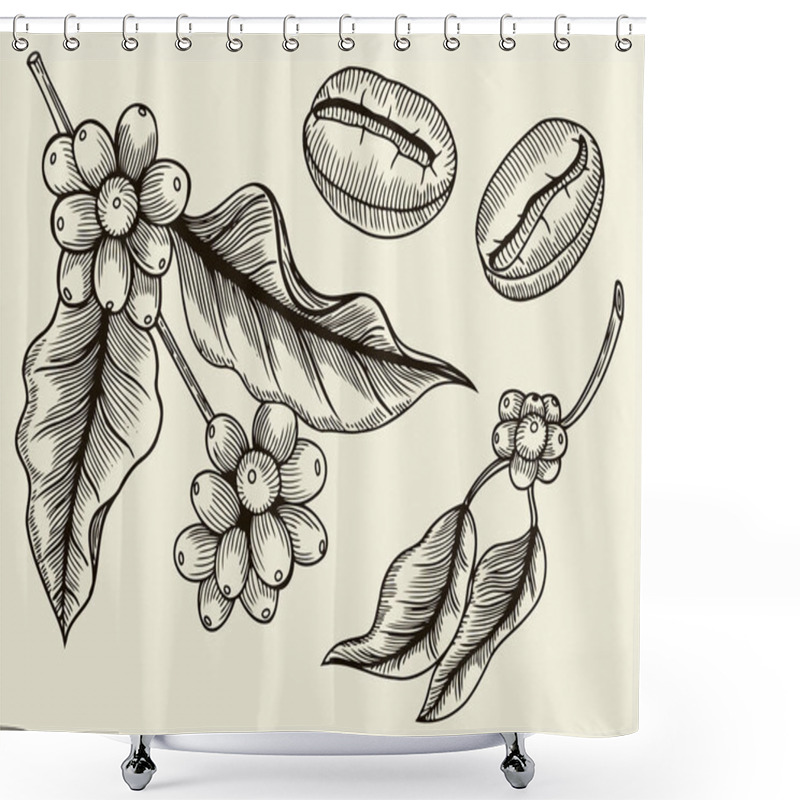 Personality  Coffee Plant Branch With Leaf, Berry, Coffee Bean, Fruit, Seed. Natural Organic Caffeine. Green Coffee, Luwak. Black On White Background. Hand Drawn Sketch Vector Illustration Coffe. Shower Curtains