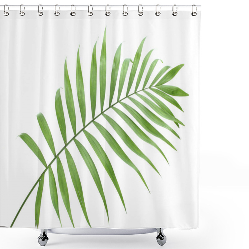 Personality  Beautiful Green Palm Leaf Isolated On White Shower Curtains