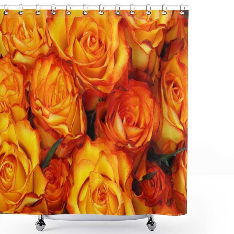 Personality  Orange Roses Shower Curtains