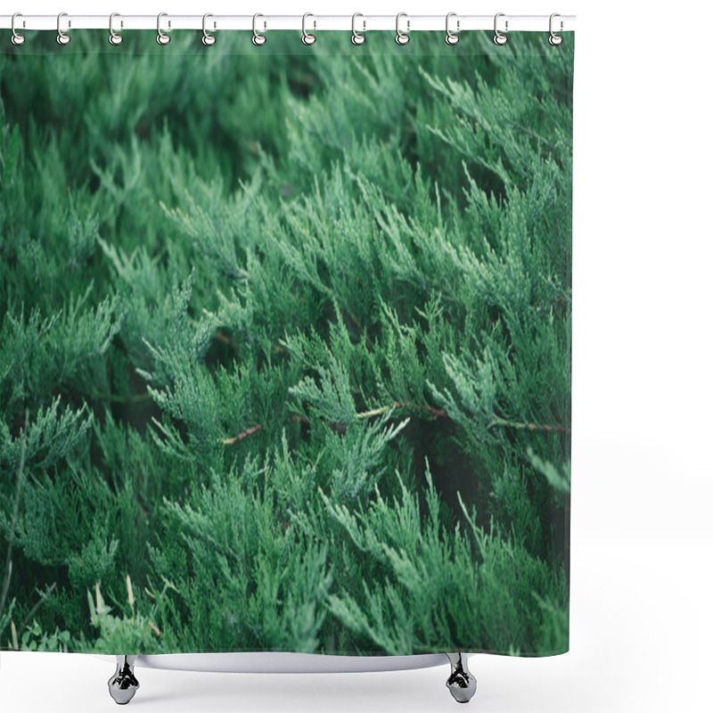 Personality  Full Frame Shot Of Fir Branches For Background Shower Curtains