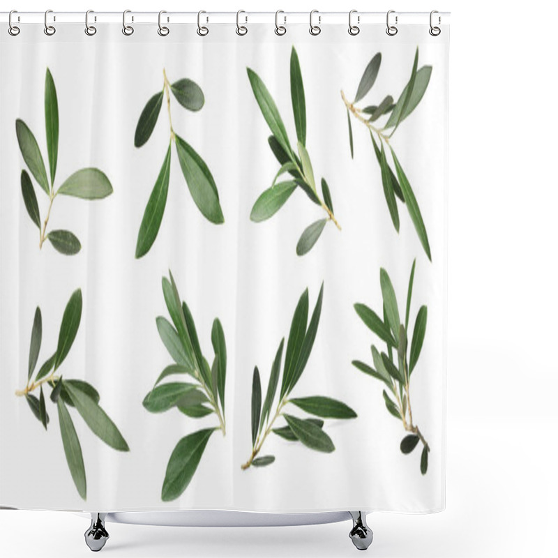 Personality  Set With Fresh Green Olive Leaves On White Background. Banner Design Shower Curtains