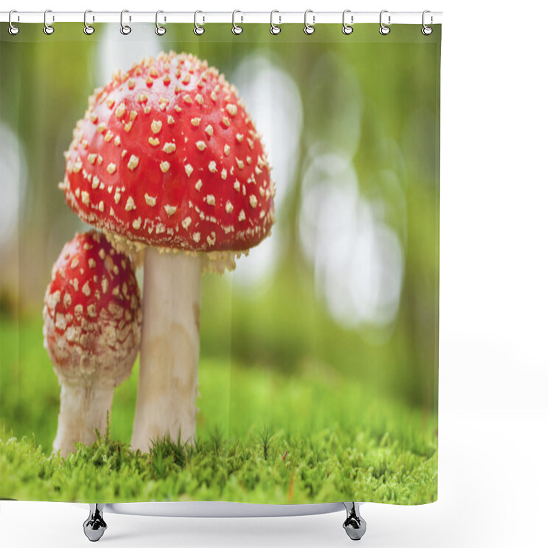 Personality  Amanita Muscaria Shower Curtains