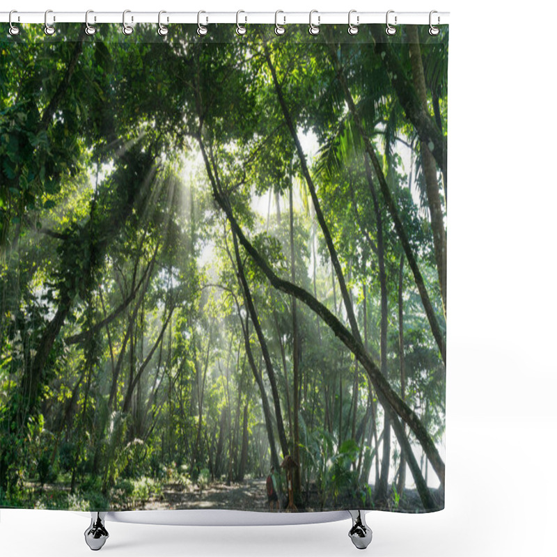 Personality  Sun Rays Shine Through Jungle Rain Forest, Costa Rica Corcovado National Park Shower Curtains