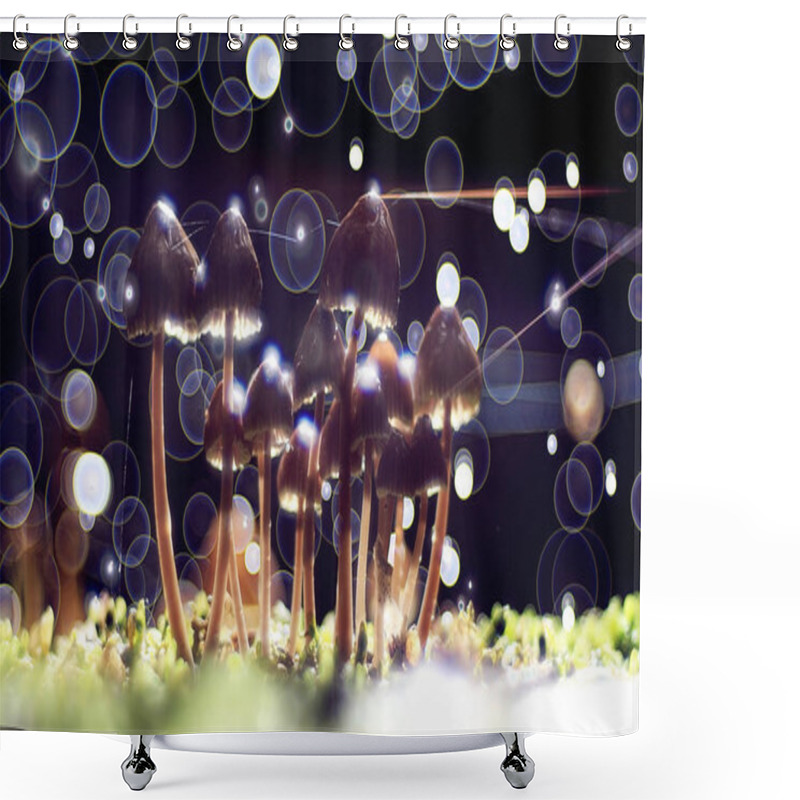 Personality  Small Poisonous Mushrooms Shower Curtains