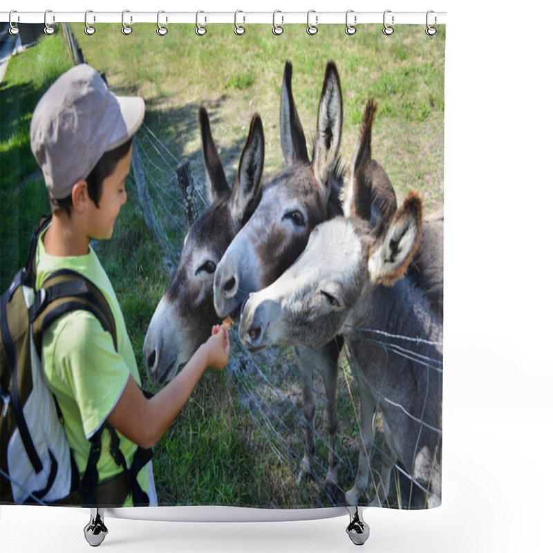 Personality  Young Boy Giving Food For Donkeys Shower Curtains