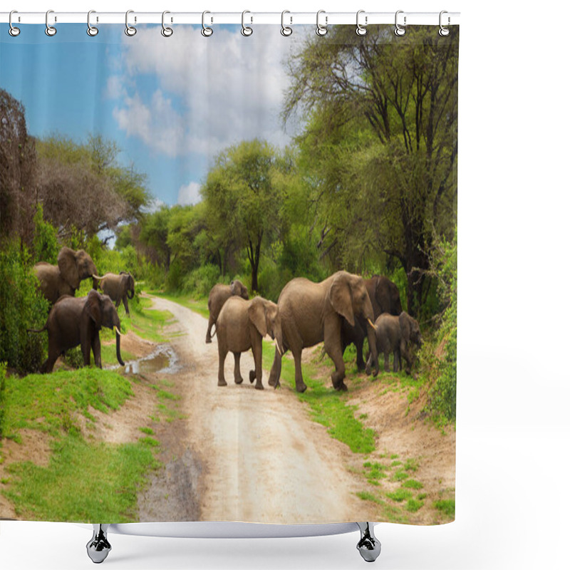 Personality  A Small Herd Of Elephants With  Small Babys Of Elephant Very Close In Detail In A National Reserve In Tanzania Crossing The Road Shower Curtains