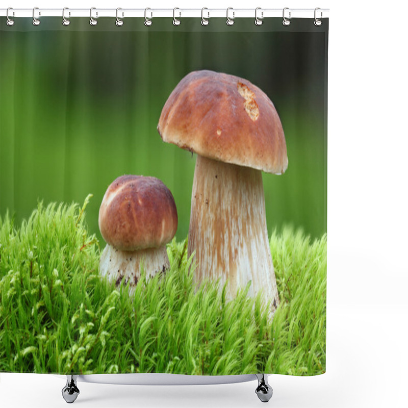 Personality  Two Oak Mushrooms In The Moss Shower Curtains