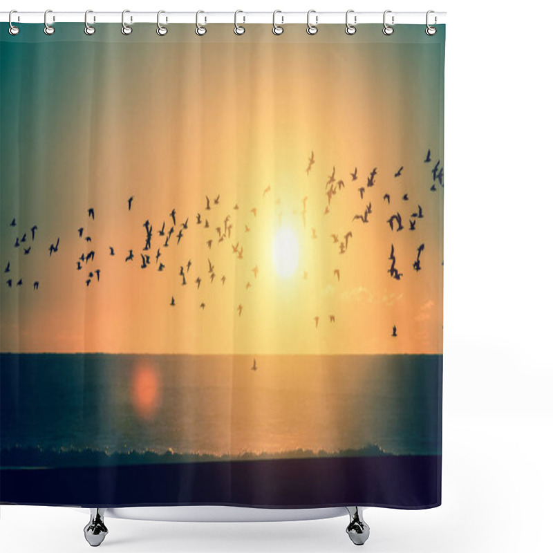 Personality   Birds Over The Atlantic Ocean  Shower Curtains