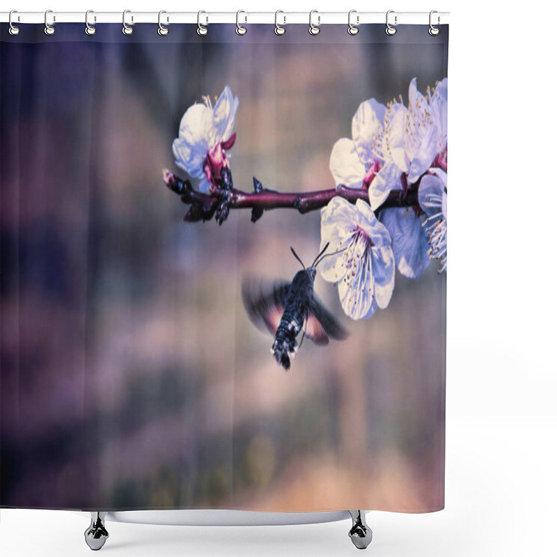 Personality  Hummingmoth Pollinate A Flower Shower Curtains