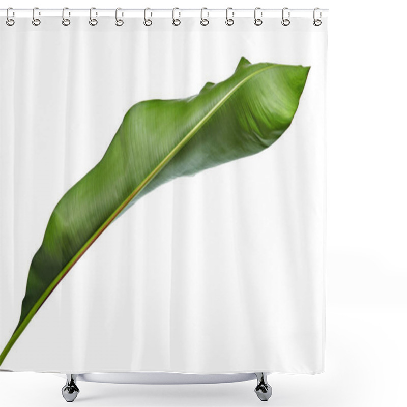 Personality  Strelitzia Reginae, Heliconia, Bird Of Paradise Foliage Isolated On White Background, With Clipping Path Shower Curtains