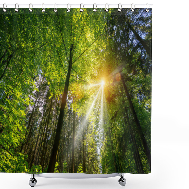 Personality  Silent Forest In Spring With Beautiful Bright Sun Rays - Wanderlust Shower Curtains