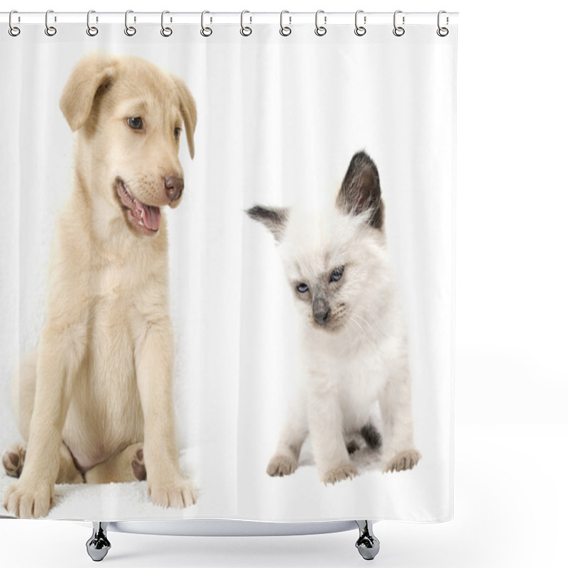 Personality  Puppy And Kitten Shower Curtains