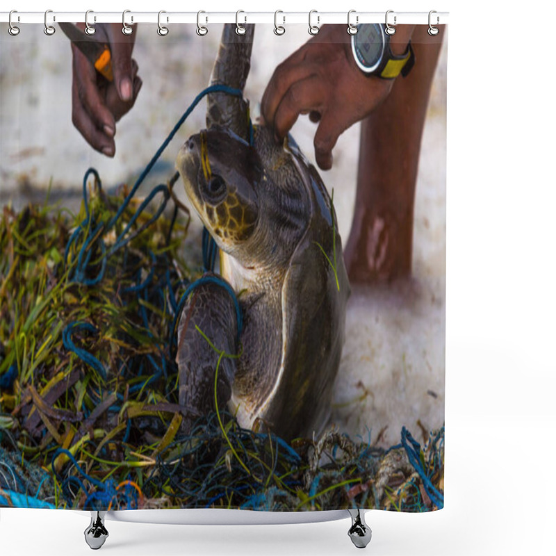 Personality  People From The Association Of Animal Observers Rescue Turtles By Buying Turtles That Enter The Net Of Fishermen In The Coastal Are Shower Curtains