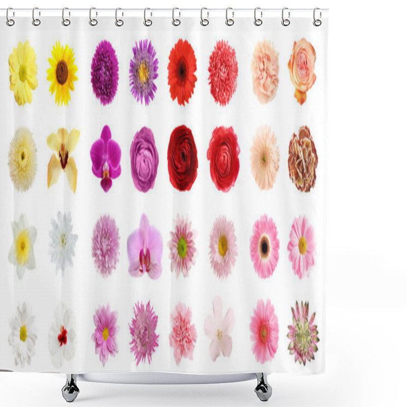 Personality  Set Of Different Beautiful Flowers On White Background. Banner Design Shower Curtains