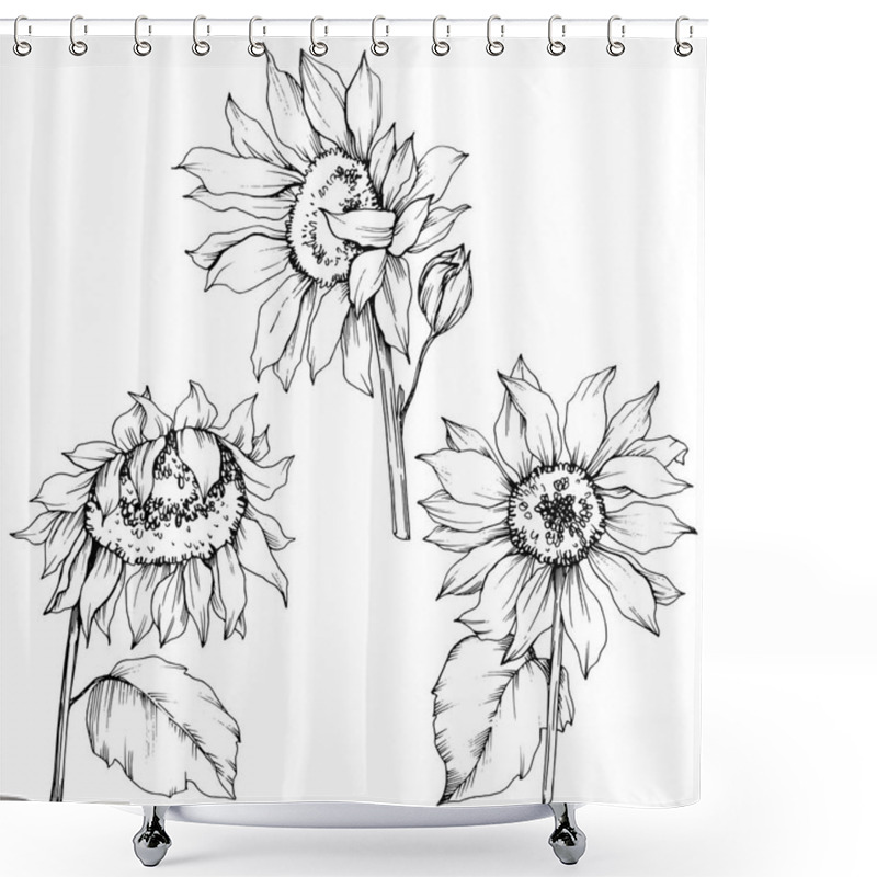 Personality  Vector Sunflower Floral Botanical Flowers. Black And White Engraved Ink Art. Isolated Sunflower Illustration Element. Shower Curtains