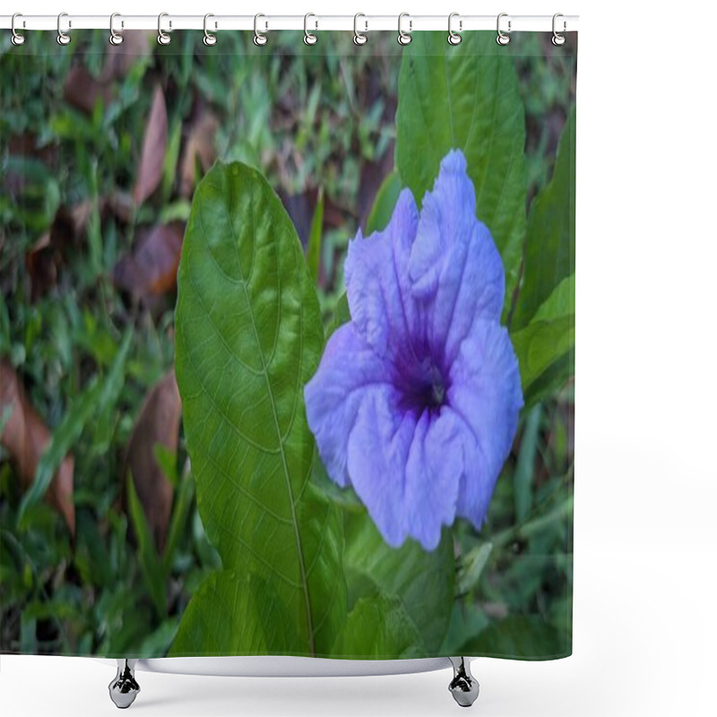 Personality  A Vibrant Purple Flower With A Delicate Texture, Surrounded By Green Leaves. The Flower Is In Focus, Displaying Its Intricate Petals And Central Details.  Shower Curtains