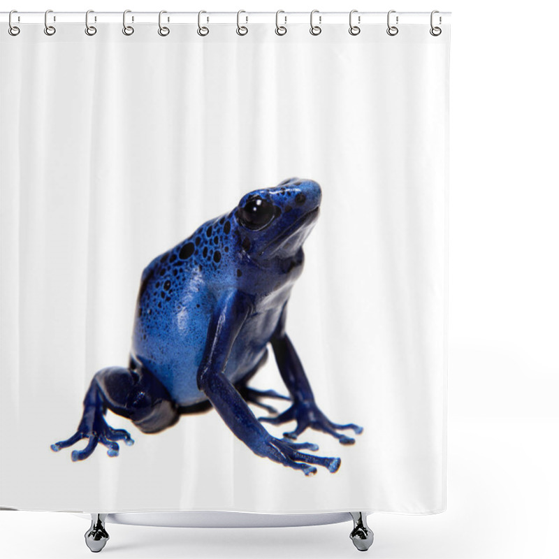 Personality  Blue Poison Dart Frog, Dendrobates Tinctorius Azureus, On White Shower Curtains