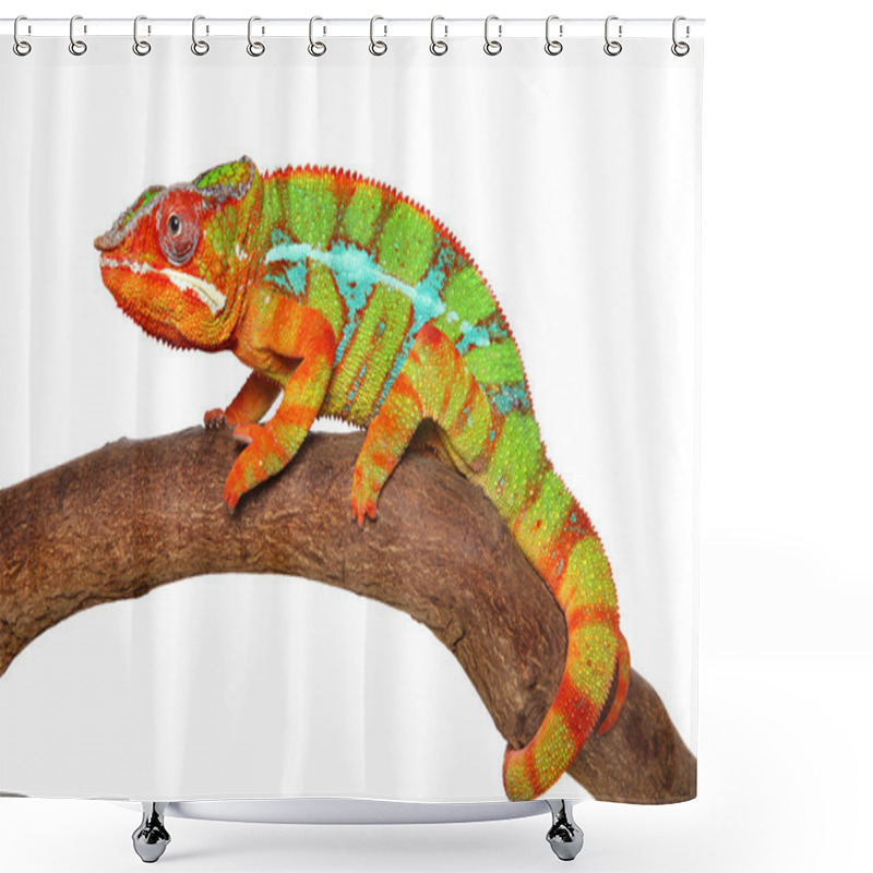 Personality  Chameleon Crawling Shower Curtains