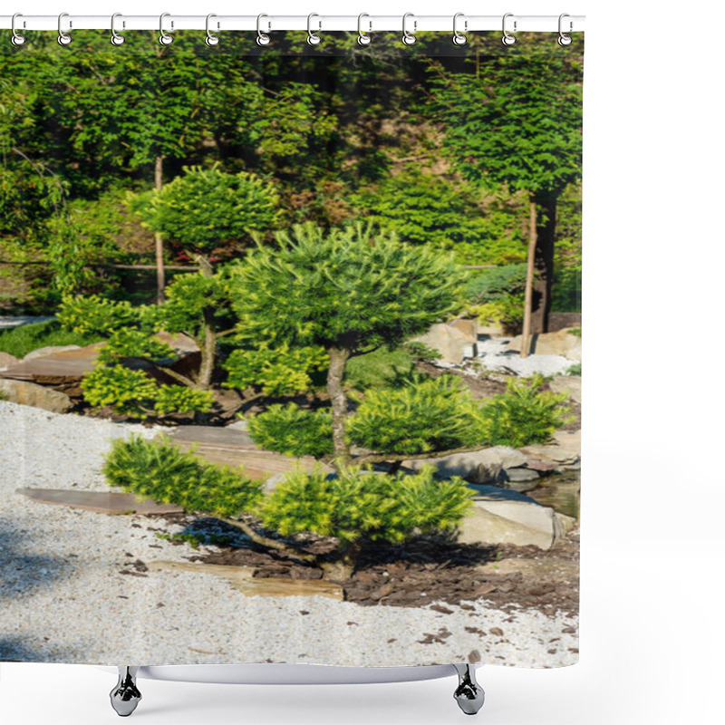 Personality  Green Coniferous Trees Growing On Rocks In Summer Shower Curtains