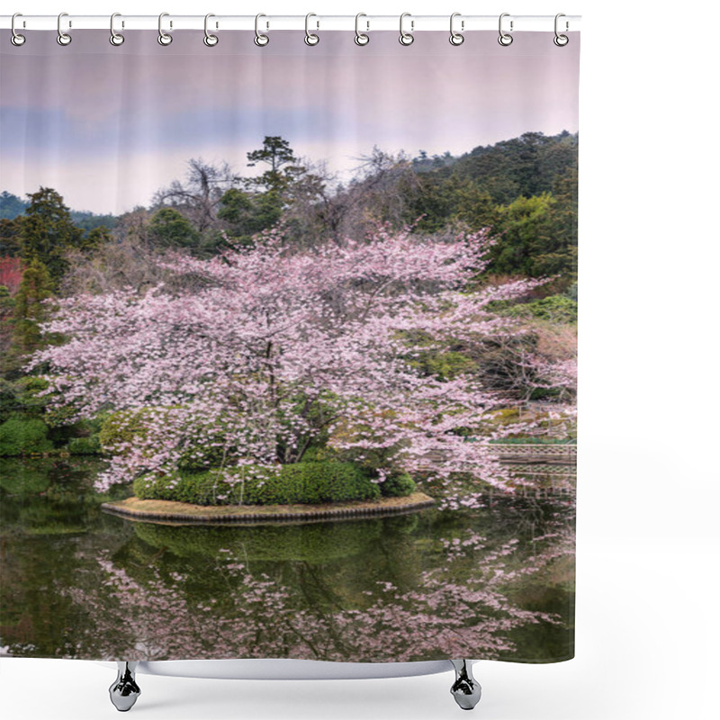 Personality  Flowering Sakura In A Beautiful Japanese Park Shower Curtains