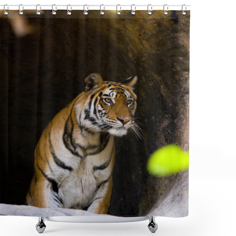 Personality  One Wild Tiger. Shower Curtains