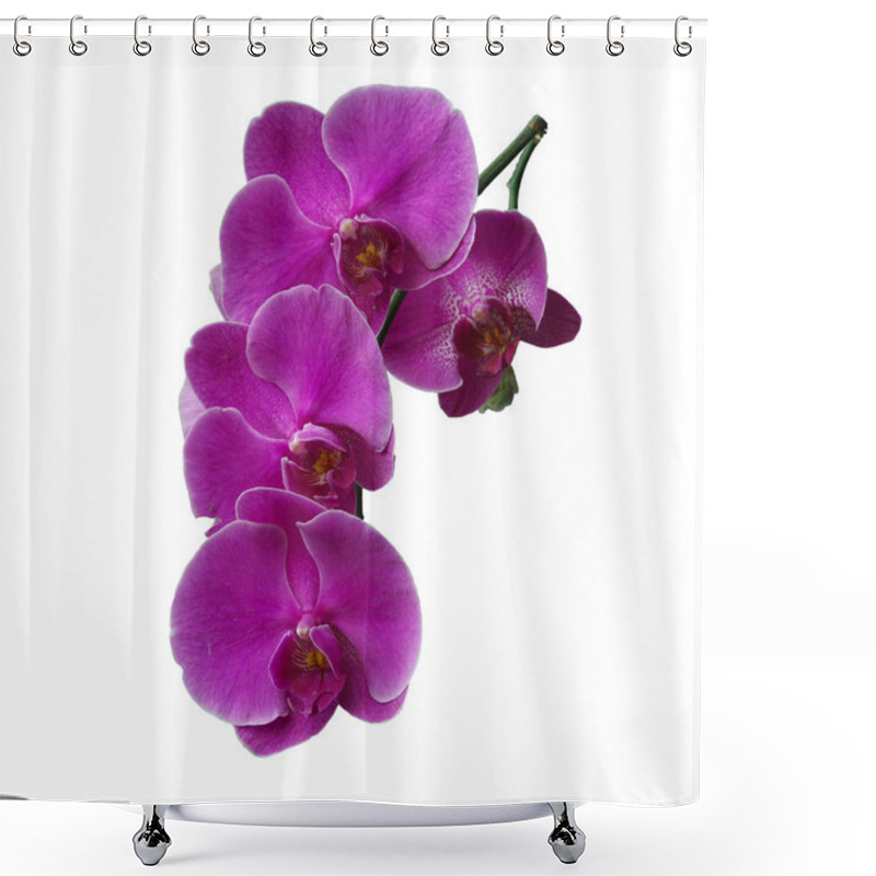 Personality  Orchid Shower Curtains