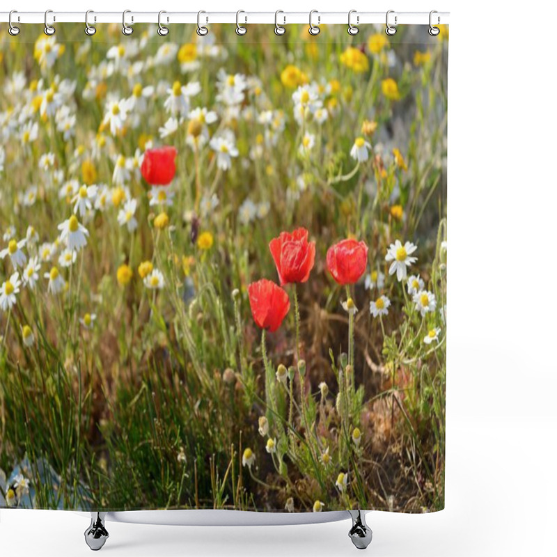 Personality  Poppies And Daisies In Field Shower Curtains