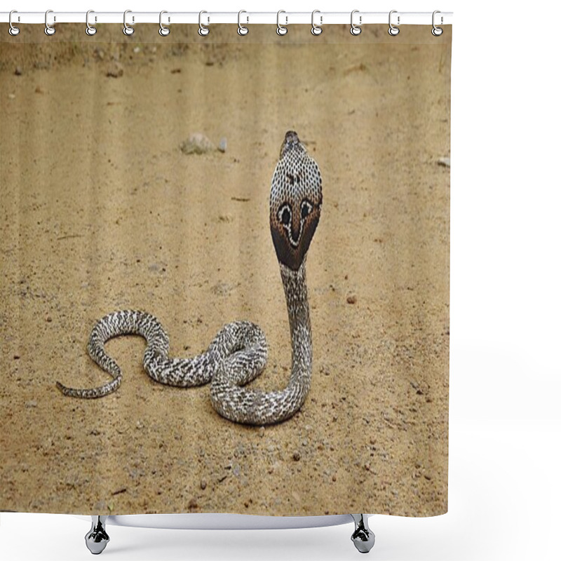 Personality  Poisonous cobra on brown ground shower curtains