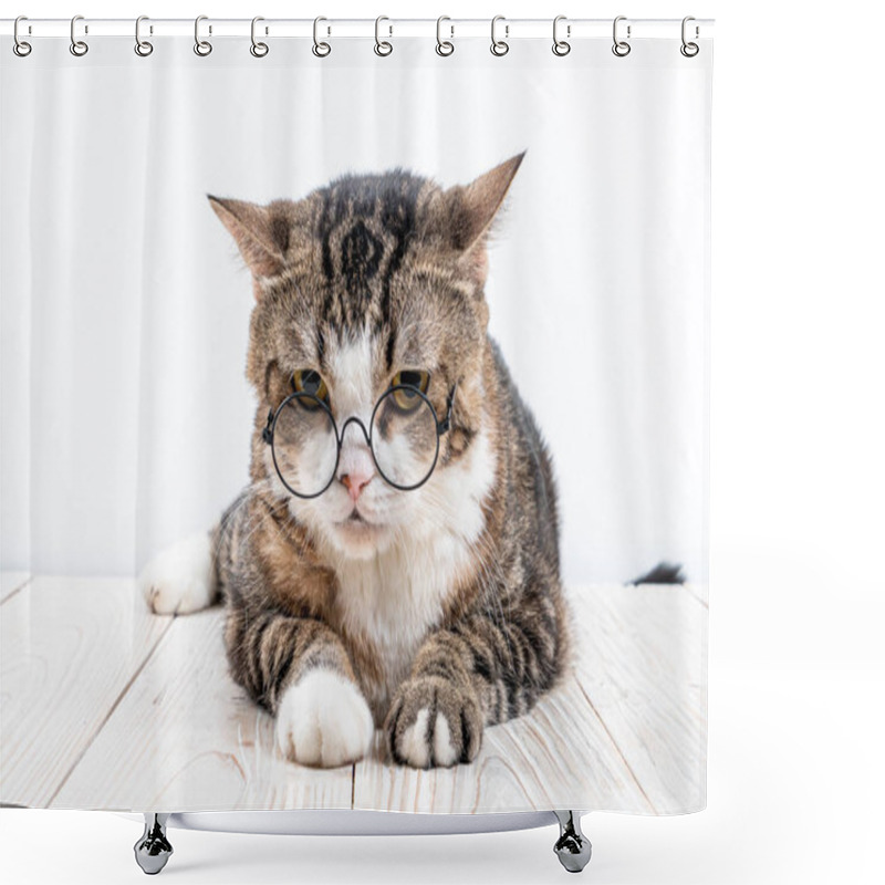 Personality  Cute Cat With Glasses Shower Curtains