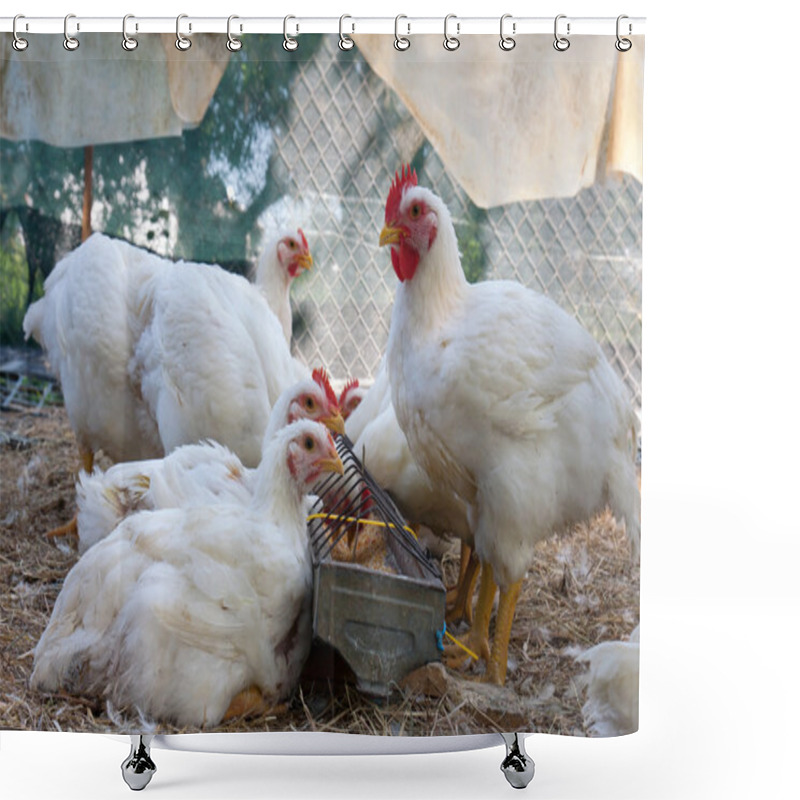 Personality  White Hens Shower Curtains