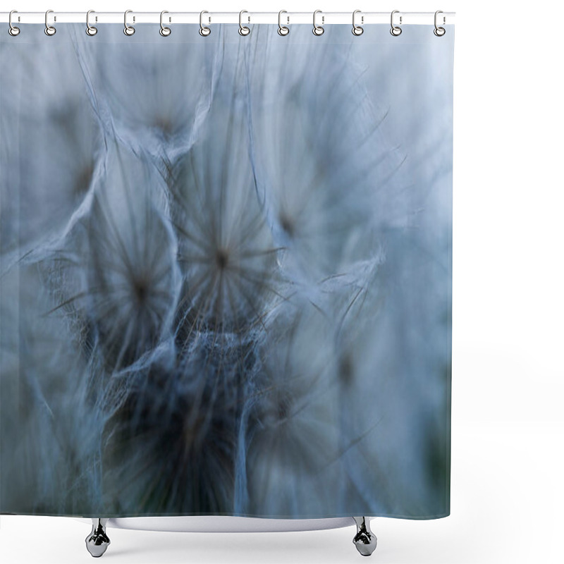 Personality  Closeup Image Of White Dandelion. Dandelion Seeds In Macro Photo. Nature Photography Concept. Shower Curtains