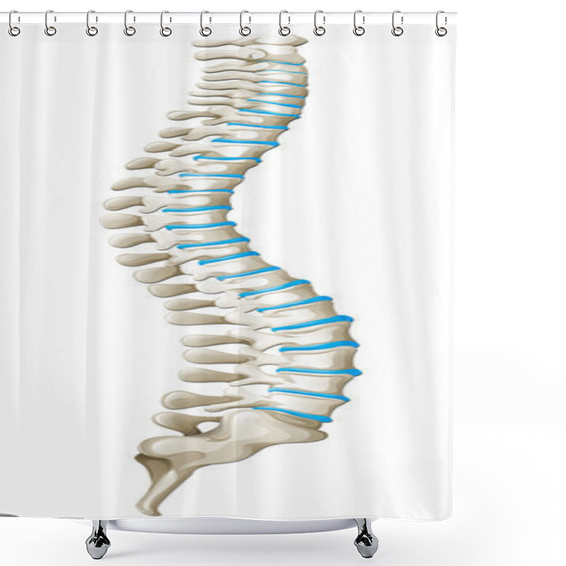 Personality  Spine Diagram Showing Back Pain Shower Curtains