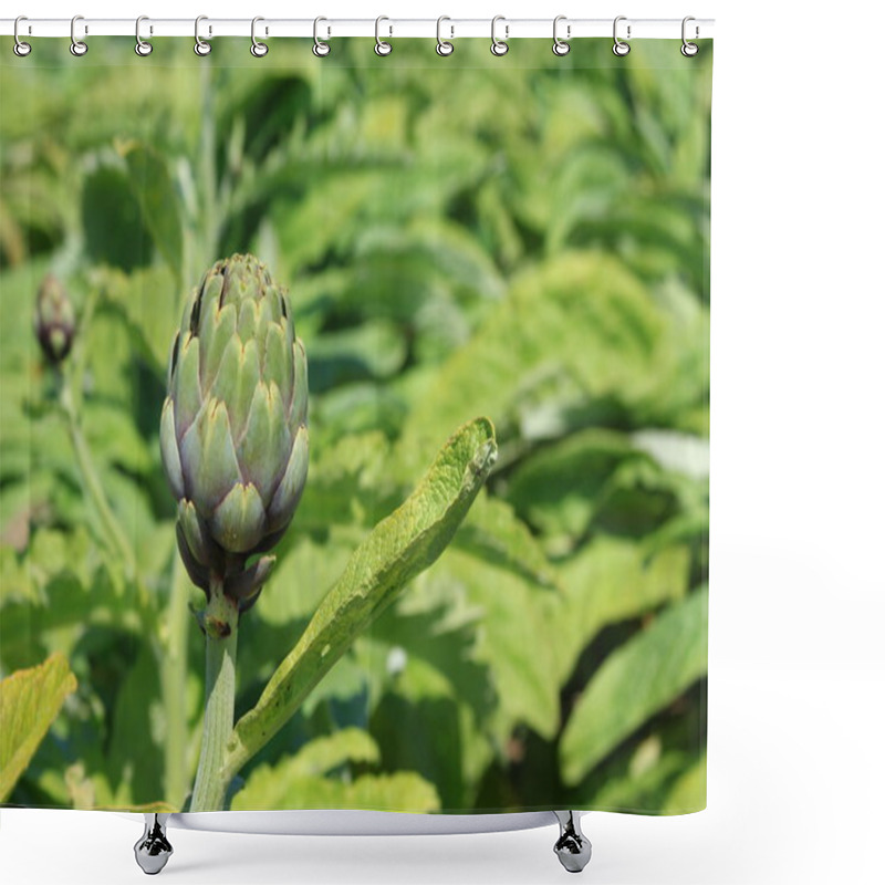 Personality  Artichockes Shower Curtains