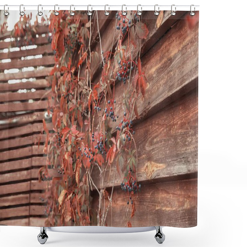 Personality  Rustic Wooden Wall With Red Autumn Leaves And Blue Berries Shower Curtains