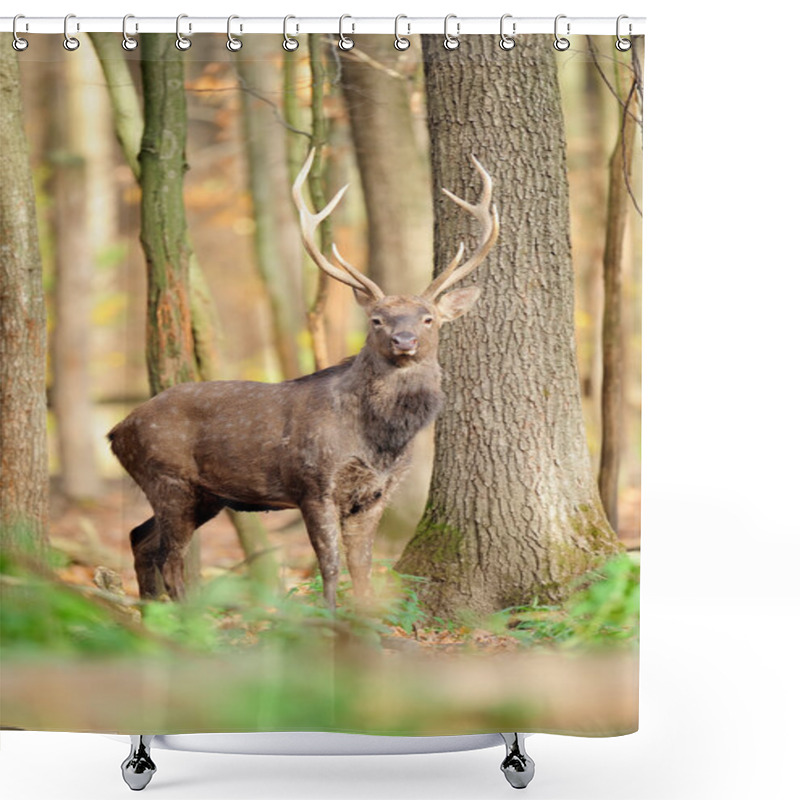 Personality  Deer Shower Curtains